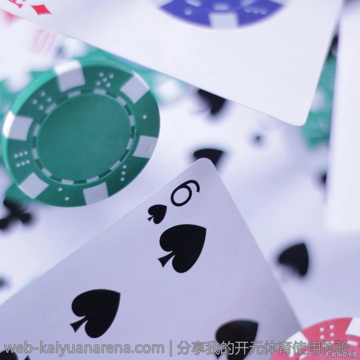 分享我的开元体育使用体验,真相大揭秘